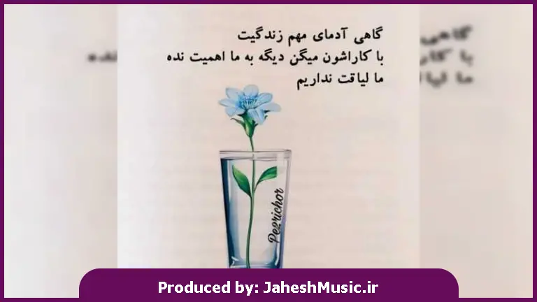 دانلود آهنگ دارو ندار ا ین زن فقط تو هستی (من دوست دارم عاشقتم اینجوری آزارم نده)